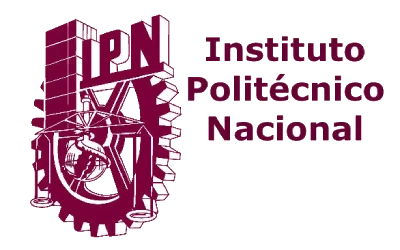 Logo 11