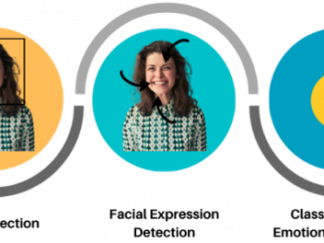 ML-Driven Real Time Emotion and Stress Level Monitoring