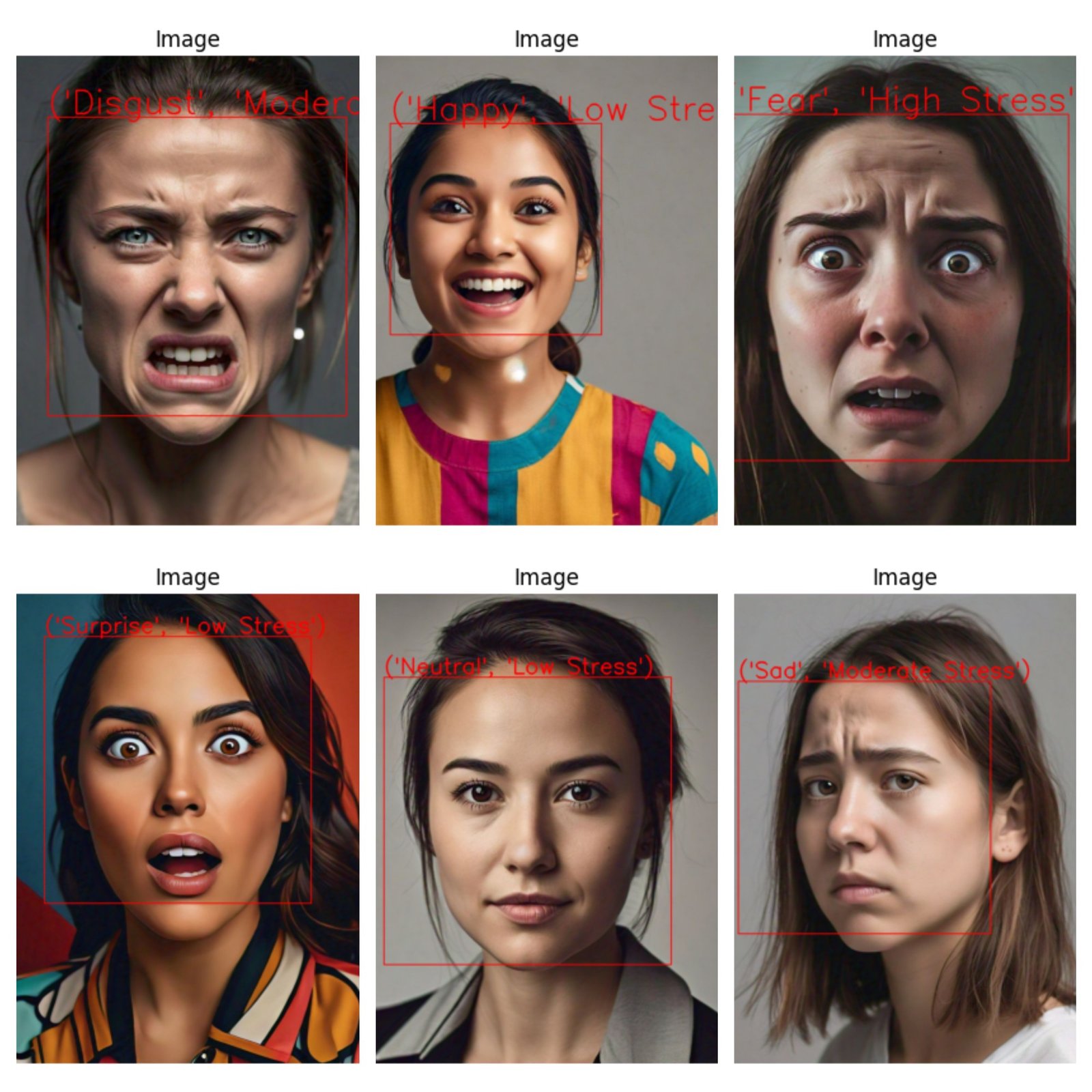 ML-Driven Real Time Emotion and Stress Level Monitoring - Image 2